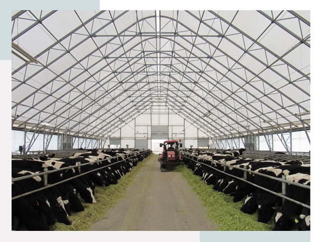 Тентовые коровники в Сосновоборске от 621 руб. - Надежно и доступно