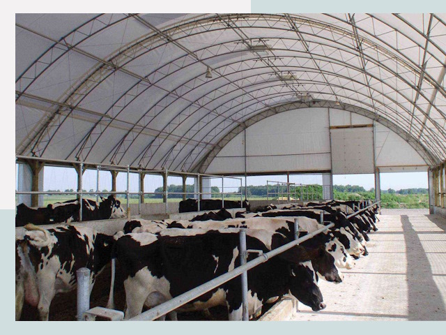 Тентовые коровники в Сосновоборске